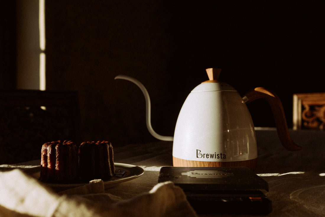 Back in stock - Brewista Artisan Gooseneck Kettle