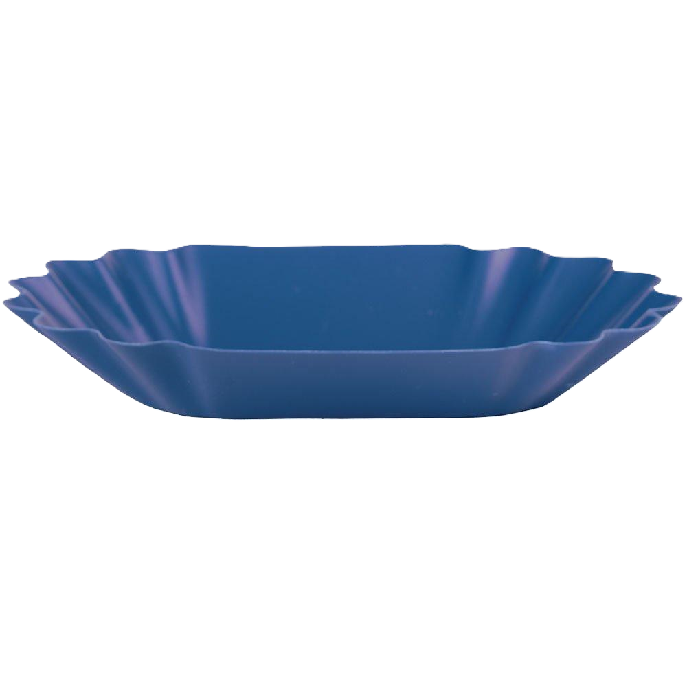 Rhino Blue Cupping Tray (12)